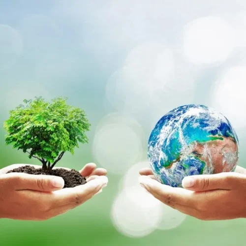 Environmental Impact Assessment (EIA) study