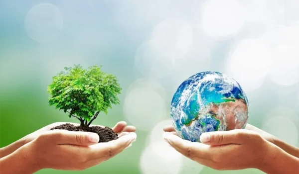 Environmental Impact Assessment (EIA) study