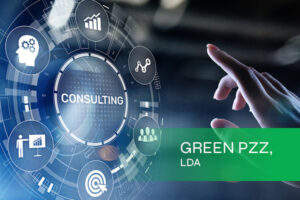 artikel 3 grand pzz rev