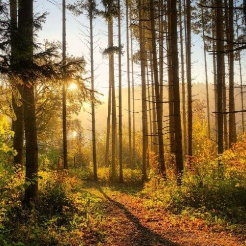 tourism management 1